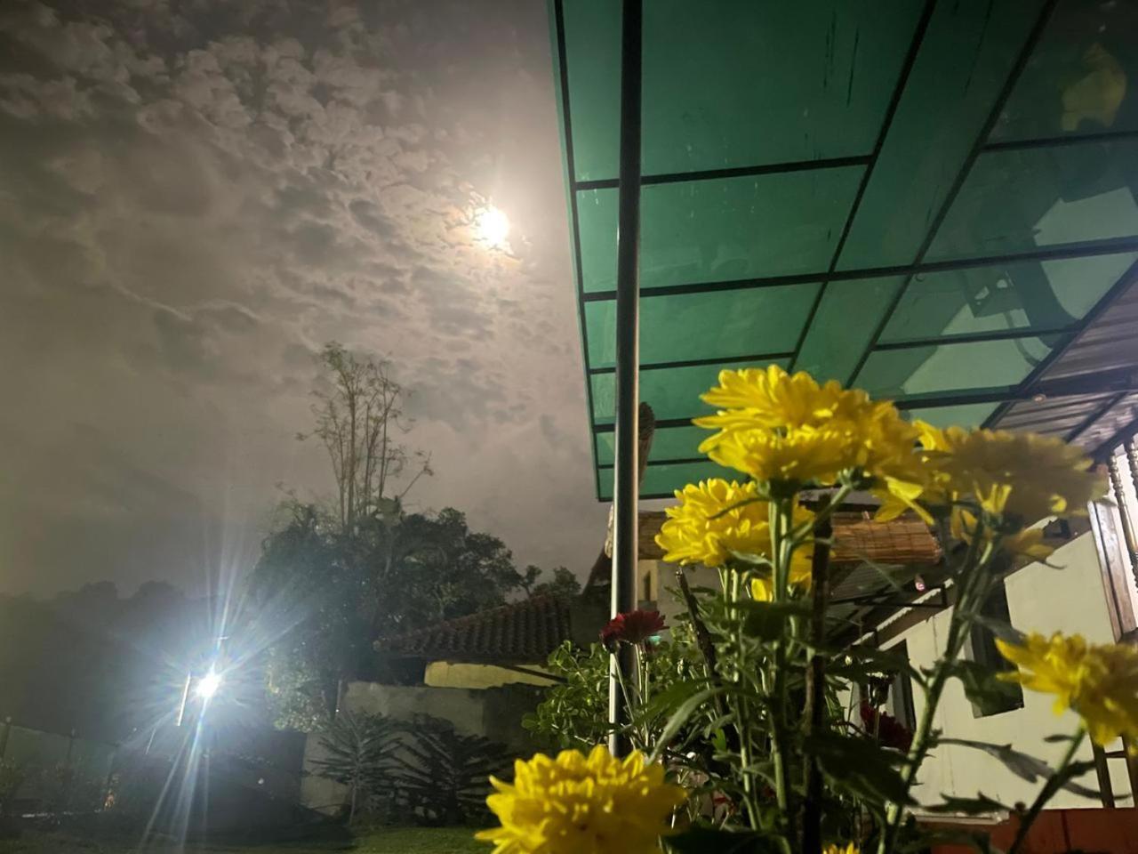 קנדי Lake Classical Guest House מראה חיצוני תמונה